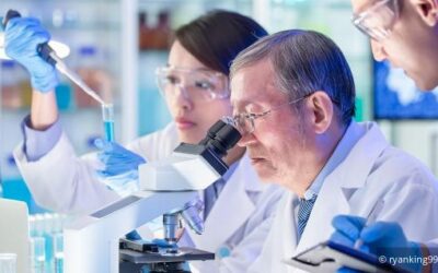 Entwurf zu Forschungsprämienrichtlinien